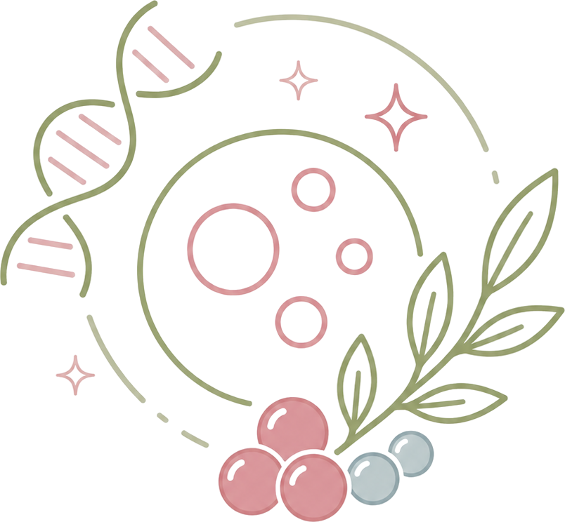 Longevity and Anti-aging Diet